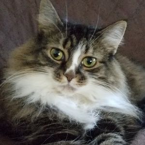 Meet your Posher, Melanie